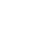 TikTok Icon