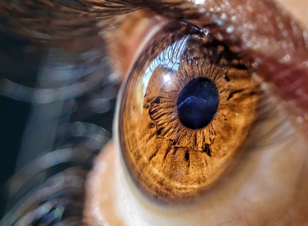 Close-up macro photo capturing the intricate details of a brown eye with eyelashes in focus.
