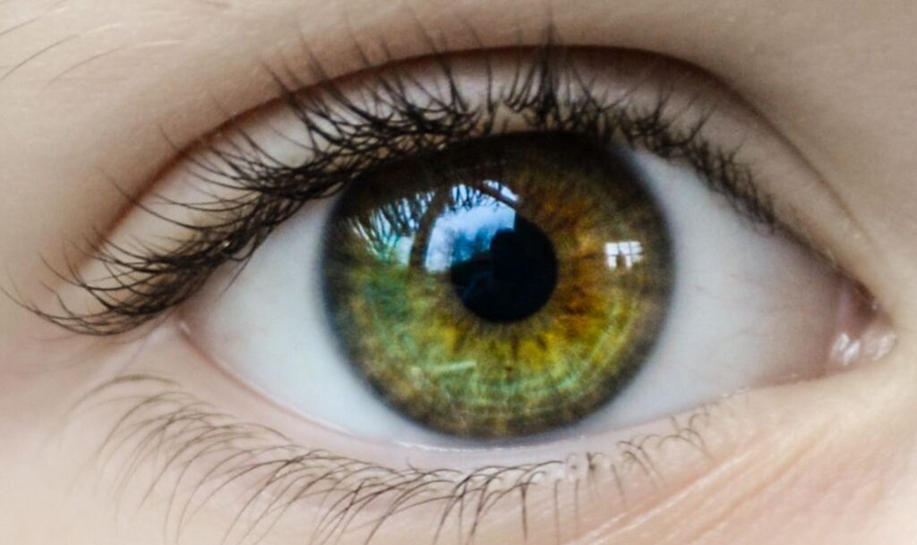 Detailed close-up of a child's green eye, highlighting the iris and natural eyelashes.