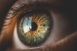 Eye Color: What Makes Every Iris Unique?